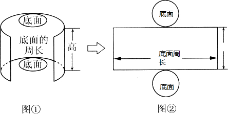 把图①底面底面的周长高分别填入图②的圆柱侧面展开图中的合适位置