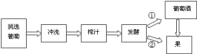 如图为葡萄酒和果醋的制作流程图,请据图回答