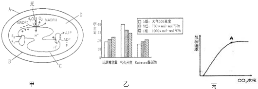 血糖平衡对于维持机体正常能量供应具有重要意