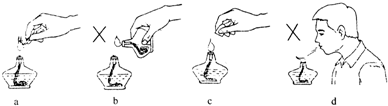 酒精灯是实验常用器材使用时应规范操作请你观察图中所提供的信息归纳