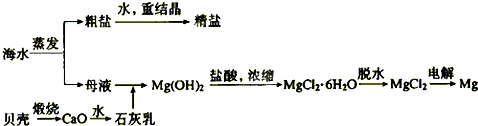 精英家教网