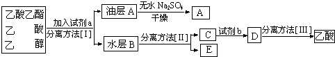 精英家教网