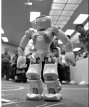 7月在土耳其伊斯坦布尔举行的第15届机器人世