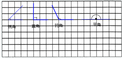 你能在下面的格子图中分别画出锐角直角钝角和平角吗并按从大的顺序