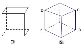 已知棱长为1的正方体的俯视图是一个面积为1的正方形.