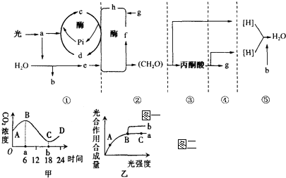 一图一是某植物叶肉细胞中光合作用和呼吸作用的物质变化示意简图其中