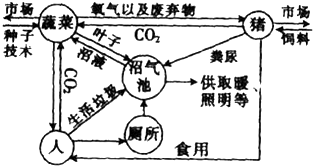 生态农业运用了什么原理_简爱运用了什么手法(2)