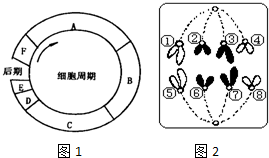 下列图1为细胞周期示意图,图2为某生物细胞有丝分裂模式图,请据图回答