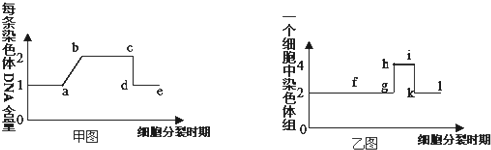 d,乙图的hi段的细胞处于甲图的bc段,且同源染色体对数加倍