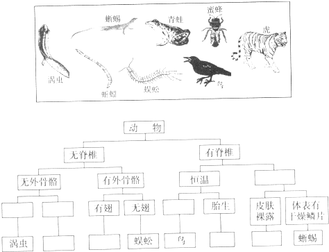 精英家教網(wǎng)