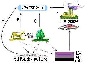 如图是生态系统中碳循环的示意图请据图回答下列问题