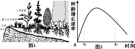 八年级生物教案_初中生物教案下载_初中信息技术教案 下载