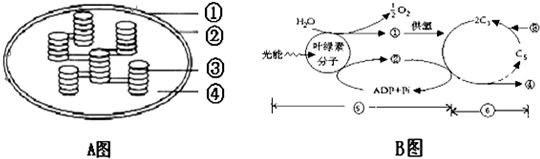 如图所示,a图为叶绿体的亚显微结构模式图,b图为光合作用过程图解,请