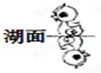 精英家教網(wǎng)