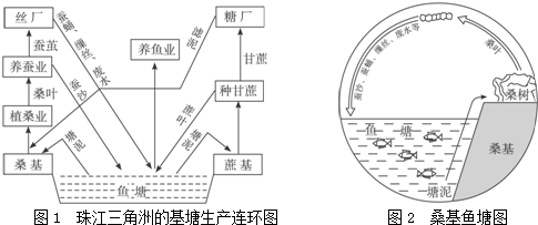 读基塘生产的相关图示.分析珠江三角洲桑基鱼塘生产方式与生态的关系. 珠江三角洲的基塘生产连环图 桑基鱼塘图 题目和参考答案--精英家教网--