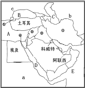 三洲夏家人口_人口普查(2)