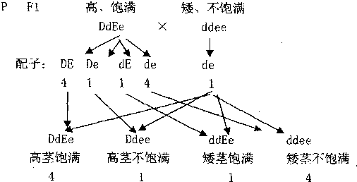 如果你是该兴趣小组的成员.希望通过遗传学杂交实验