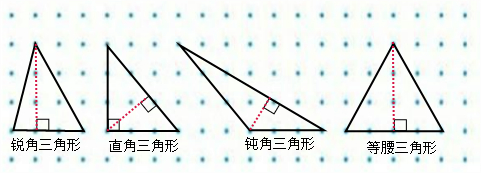 直角三角形的高