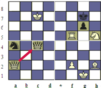 下面是一幅国际象棋的平面图:(1)棋盘上白象的位置用.