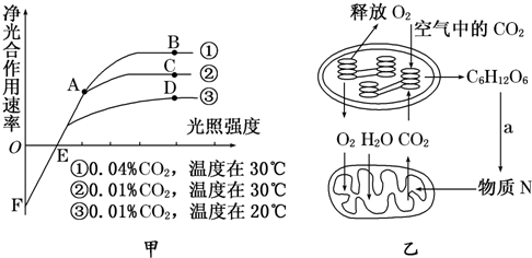 光合作用的意义