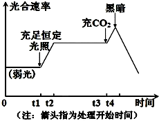 如图是水生植物黑藻在光照等环境因素影响下光合速率变化的示意图下列