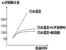 血糖平衡对于维持机体正常能量供应具有重要意