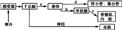 如图为人体内体温与水平衡调节的示意图,有关叙述不正确的是(  )