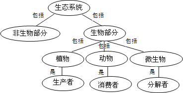 有机搜索是我们理解消费者体验的关键 快速的办法