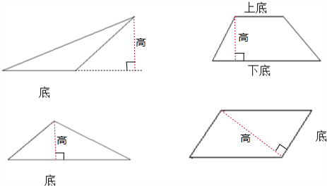 小学数学 题目详情 考点:作三角形的高,作平行四边形的高,作梯形的高