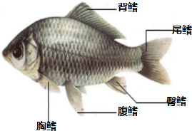 根据要求完成以下各题