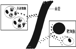 如图表示的是分泌细胞分泌的某种物质与靶细胞结合的示意图,据图回答