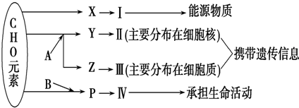图1为叶绿体结构与功能示意图.图2表示一株小