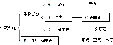 故答案为:解答:解:生态系统包括生物成分和非生物成分,非生物成分