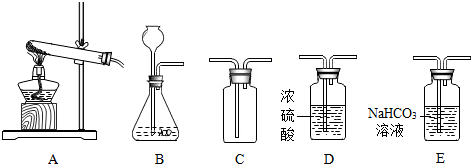 小学体育教案表格式模板_科学表格式教案_科学表格式教案