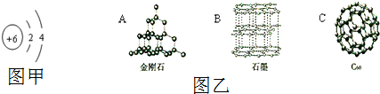 初中化学 题目详情  (1)图甲是碳原子结构示意图,碳原子的最外层电子