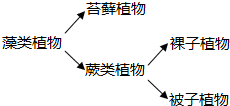 科学家根据亲缘关系的远近用生物进化树如图所示形象而简明地表示生物