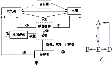 图甲为生物圈中碳循环示意图,请据图回答问题.