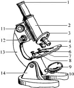 如图是显微镜的结构示意图.