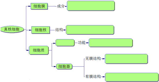 请完成下列有关细胞结构的概念图.