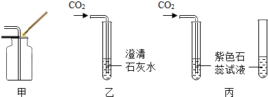 (3)丙中,将二氧化碳气体通入试管①内的紫色石蕊试液