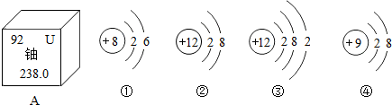 如图是铀元素在元素周期表中的信息及四种粒子结构示意图