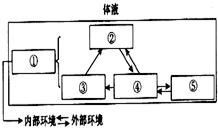 如图所示为人体体液相关组成及各成分间的关系,请依次填出①～⑤的