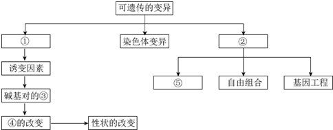 如图有关生物变异来源概念图叙述不正确的是