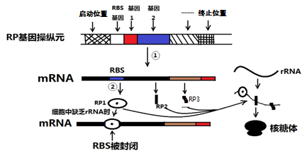 题目详情