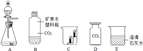 某同学利用下图所示的装置制取二氧化碳并验证二氧化碳的性质请回答有