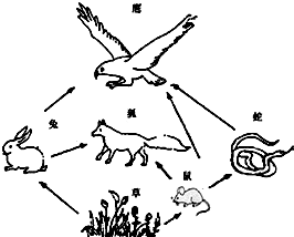 图中a.b表示某生物体内两种生理过程.下列叙述