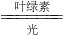 ��ѧ��ʽ