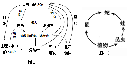 图1,图2为人体硫循环硫循环示意图生物循环生物循环图生物图的画法s