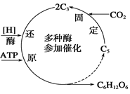 右图表示植物光合作用的一个阶段,下列各项叙述正确的是 ( )