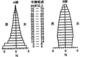 人口金字塔图的判读_人口金字塔(3)